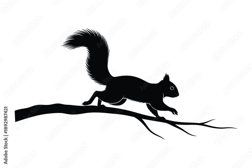Obraz premium Squirrel Silhouette on Tree Branch