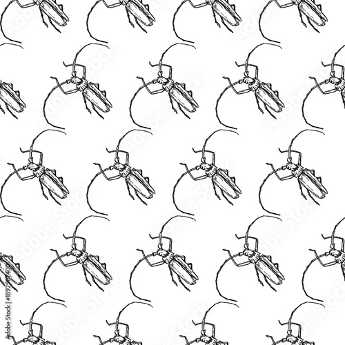 Tree beetle with long mustache, seamless pattern. Vector illustration. Simple drawing of insects isolated on a white background.