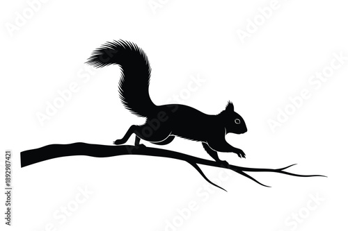 Squirrel Silhouette on Tree Branch