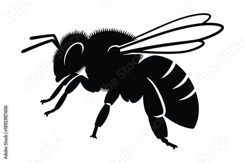 Detailed black silhouette of a bee in flight on white background