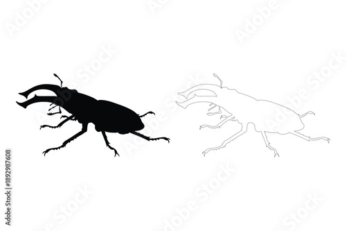 Stag beetle silhouette and outline, isolated on white background