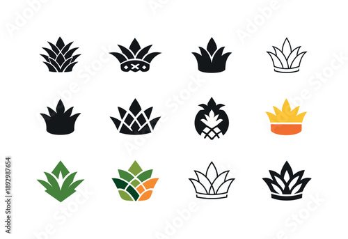 Pineapple Icon Set. Fruits. Icon set. Set Logo of fruits: pineapple crown. harmonious logo variations of the same emblematic concept, each with different
