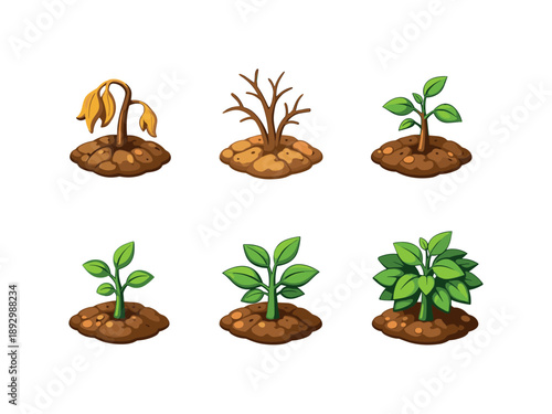 Isometric Plant Evolution. PlantTransition. Isometric flat vector icons set of plant transition: dry wilted plant, brittle brown plant, weak plant with few
