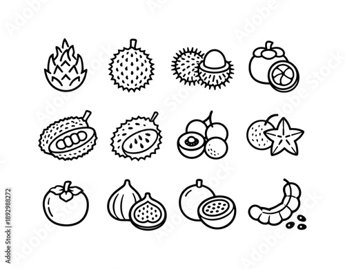Exotic Fruit Icons. Exotic fruits. Line icon set of Exotic fruits: dragon fruit, durian, rambutan, mangosteen, jackfruit, soursop, longan, starfruit,
