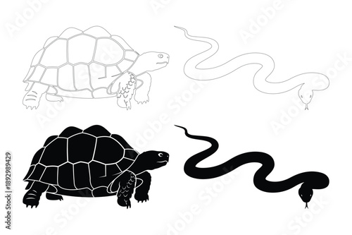 Tortoise and Snake Silhouettes
