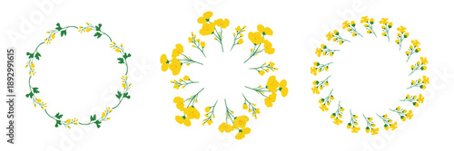 Set of cute round wreaths with hand drawn canola rapeseed flowers isolated on white background.