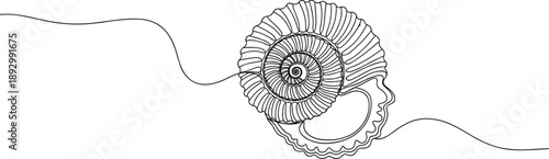   
Vector illustration of spiral shell with concentric ridges and wavy line, natural symmetry concept, artistic fossil geometry design