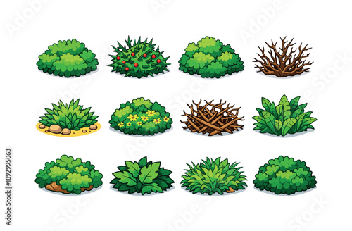 Wild Bush Icons. Wild Bush. Colorful isometric vector icons set of Wild Bush: forest shrub, thorny bush, uneven foliage bush, dry bush, desert shrub, meadow
