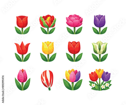 Colorful Tulip Icons. Tulip varieties. Colorful flat vector icons set of tulip varieties: fringed tulip, parrot tulip, double bloom tulip, triumph tulip,