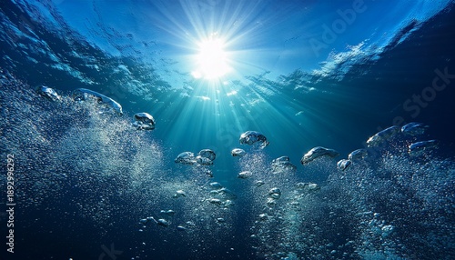 Sunlight Bubbles Under The Sea