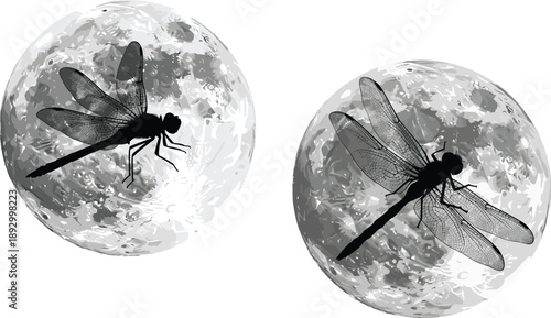 Dragonfly silhouette flying across twin full moons, monochrome night sky illustration, mystical nature symbolism, minimal fantasy wildlife artwork