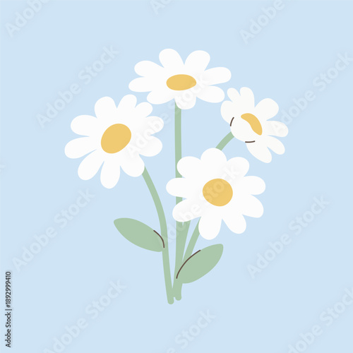 Chamomile flowers. Vector illustration in flat style on blue background.
