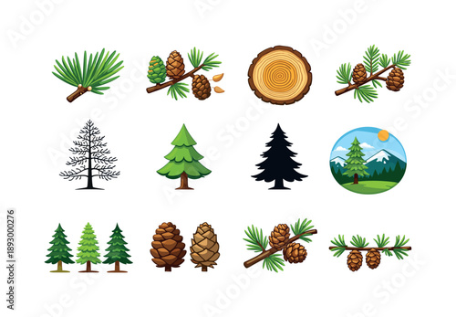 Larch Botanical Icons. Botanical larch elements. Colorful flat vector icons set of botanical larch elements: needle bundle, botanical cone study, tree ring