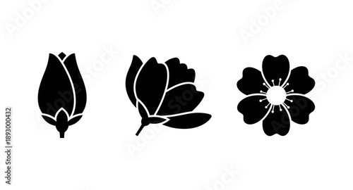 Three stages of flower bloom: bud, partially open, and fully bloomed, presented as black silhouettes