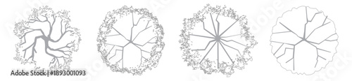 CAD Trees Top View Plan Set, Editable Canopy Drawings for Architectural and Landscape Design