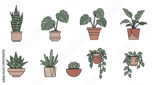 Collection of eight stylized indoor potted house plants featuring snake plants, monstera, and trailing vines in minimalist vector art.