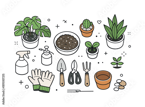 Modern Plant Care. Plant care lifestyle scene. A top-down view of houseplants arranged neatly with gloves and tools, emphasizing organization, routine, and