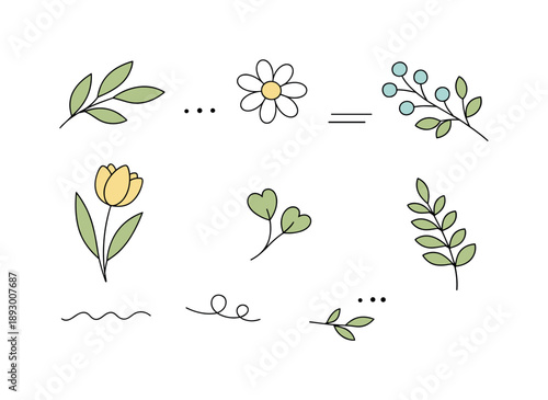 Minimal Botanical Flat Lay. Minimal botanical flat lay. Top view of botanical elements spaced evenly, gentle curves and soft natural forms. Clean