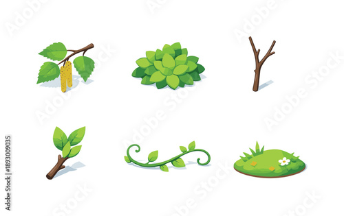 Spring Leaf Icons. Spring leaf & branch sets. Isometric flat vector icons set of Spring leaf & branch sets: birch branch leaves, light green foliage cluster,