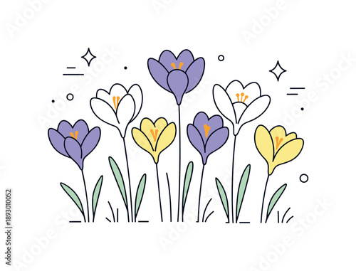 Minimalist Crocus Blossom. Crocus flowers illustration. Minimal crocus blossoms with slim stems gently growing upward, creating a calm early spring mood. The