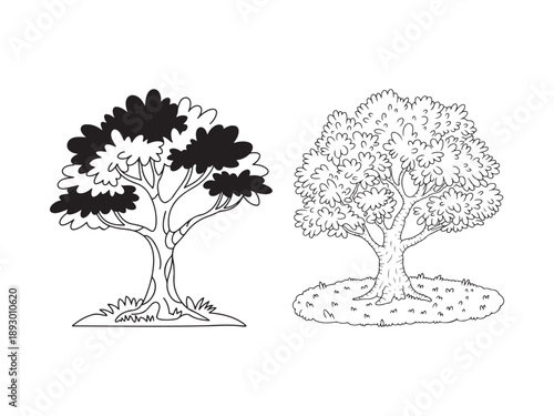Black and white of two trees with distinct leaf shading and grass nature foliage