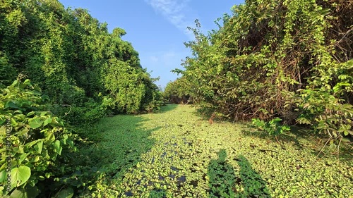 Sunrise river journey in Sri Lanka