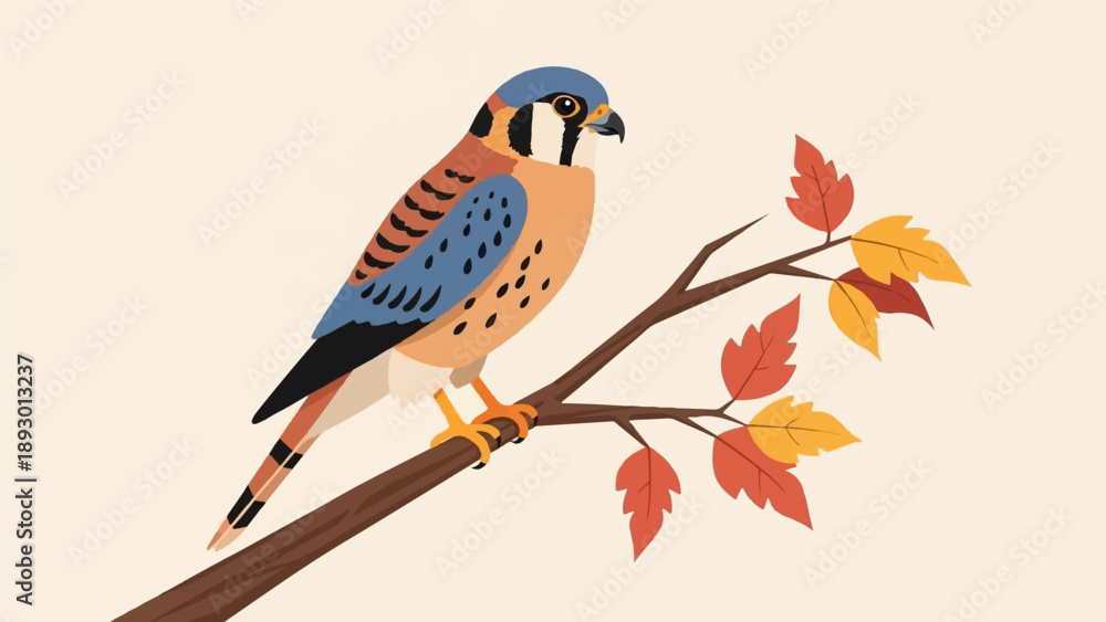 Fototapeta premium A kestrel perched on a branch with autumn leaves