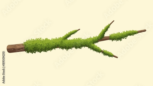 A moss-covered branch with multiple smaller branches extending outward