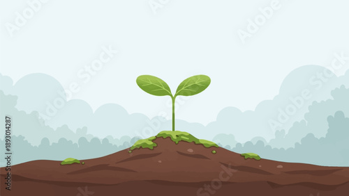 A new sprout emerges from the soil, symbolizing new beginnings