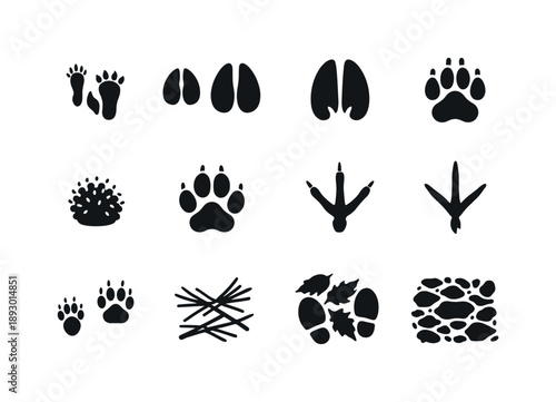 Forest Animal Tracks. Forest Animal Footprints. Solid icon set of Forest Animal Footprints: squirrel track, wild boar hoof print, elk hoof print, badger paw