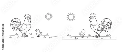 Two roosters and chicks in grassy fields under sun