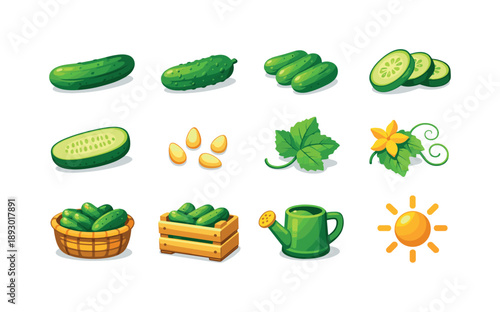 Cucumber Icon Set. Cucumber vegetables. Colorful flat vector icons set of Cucumber vegetables: garden cucumber, pickling cucumber, mini cucumber, sliced