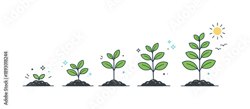 Natural Plant Growth. Growing a plant naturally. A small plant continues to grow taller from soil, showing steady progress over time. Patience, nurturing, and