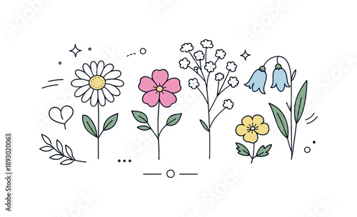 Minimal Botanical Display. Natural pressed flowers set. Pressed blooms displayed in a tidy layout, highlighting fragility, balance, and botanical aesthetics.