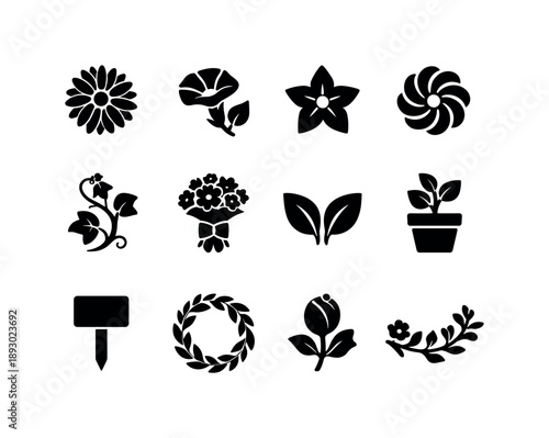 September Birth Flowers Icons. September birth flowers. Solid icon set of September birth flowers: aster, morning glory, star bloom, petal swirl, vine climb,