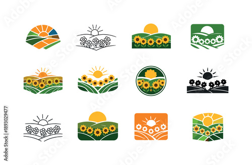 Sunflower Logo Variations. Field of sunflowers. Icon set. Set Logo of field of sunflowers: countryside sunflower meadow. harmonious logo variations of the same