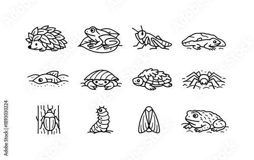 Animal Camouflage Icons. Defensive Camouflage. Line icon set of Defensive Camouflage: hedgehog leaf cover, frog leaf blend, insect freeze pose, lizard rock