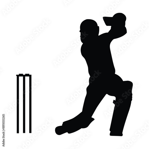 Dynamic and creative Cricket Player Silhouettes design