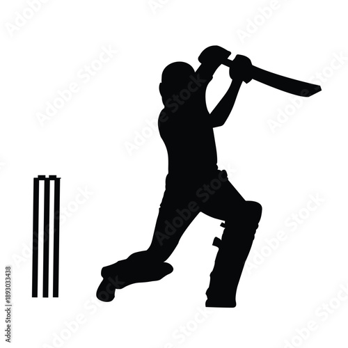Dynamic and creative Cricket Player Silhouettes design