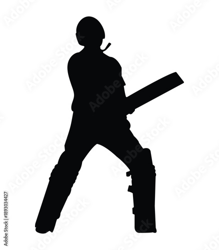 Pakistani best cricket player silhouettes with a celebration