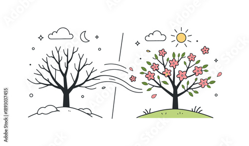 Seasonal Transition Scene. Changing seasons. A split scene showing bare winter trees on one side and blooming branches on the other, connected by gentle motion