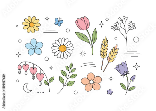 Pressed Flower Artistry. Pressed flowers flat lay. Top view of dried and pressed blossoms placed evenly, expressing softness, nature, and quiet craftsmanship.