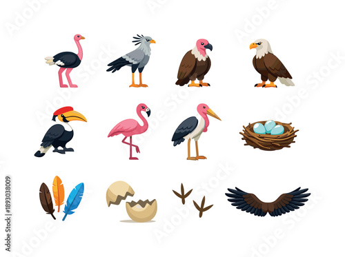 Colorful Savanna Bird Icons. Savanna birds. Colorful flat vector icons set of Savanna birds: ostrich, secretary bird, vulture, eagle, hornbill, flamingo,