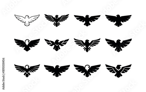 Hawk Logo Variations. Predatory birds. Icon set. Set Logo of predatory birds: hawk spread wings. harmonious logo variations of the same emblematic concept,