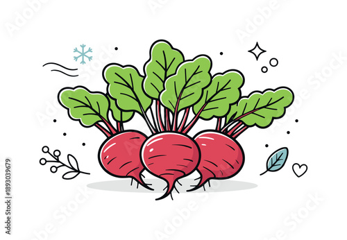 Beetroot Harvest Serenity. Beetroot winter produce. Fresh beetroots with leaves arranged neatly as seasonal vegetables on a clean surface. Calm winter harvest