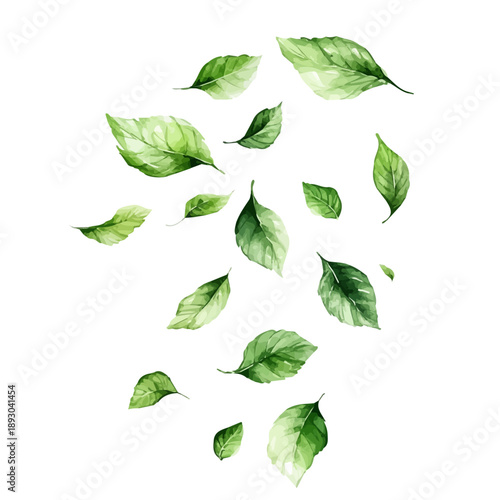Spring Leaves Fluttering In The Wind, elegant watercolor illustration luminous highlights, isolated on a white background.
