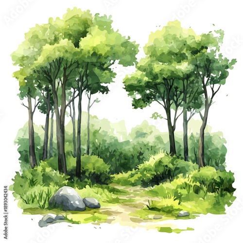 Spring In A Forest Glade, playful watercolor vector depicting lively antics and expressive gestures, isolated on a white background.