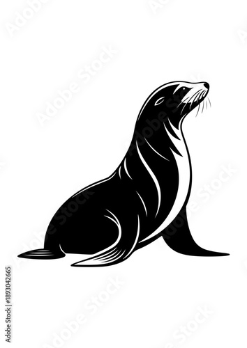 Sea Lion Silhouette Illustration