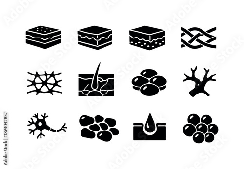 Skin Structure Icons. Skin layers structure. Solid icon set of skin layers structure: epidermis slice, dermis slice, hypodermis slice, collagen fibers, elastin