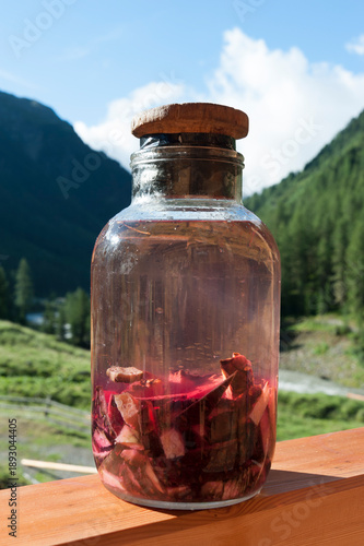Homemade Swiss stone pine cone liqueur infusing in glass jar with sugar and grain spirit, Tyrolean Zirbala schnapps in the Alps